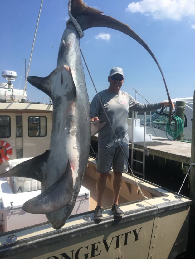 Long Island Shark Fishing Charters 8