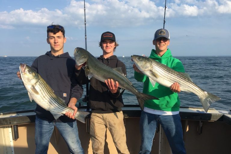 striper bluefish new york 8