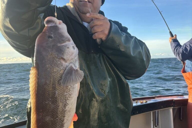 long island fishing report 9 Large