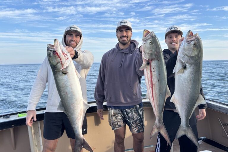southold bluefish charter 3